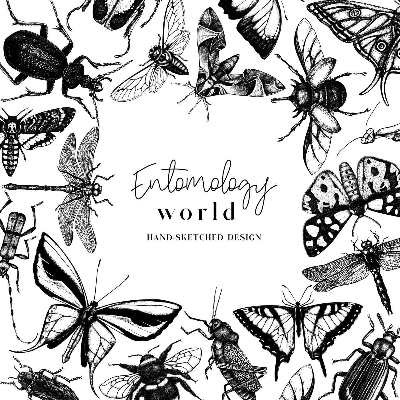 Hand-sketched insect wreath template. Hand drawn beetles, bugs, butterflies, dragonfly, cicada, moths, bee illustrations in vintage style. Entomological frame vector  design. Illustration
